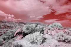 Anza-Borrego Desert, San Diego, California