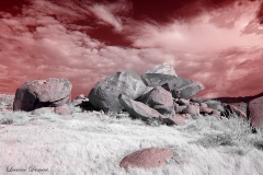 Anza-Borrego Desert, San Diego, California