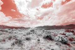 Anza-Borrego Desert, San Diego, California