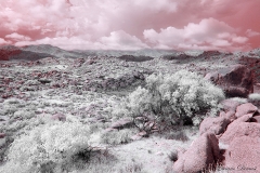 Anza-Borrego Desert, San Diego, California