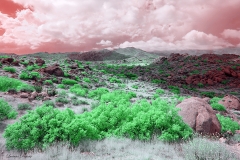 Anza-Borrego Desert, San Diego, California