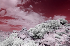 Anza-Borrego Desert, San Diego, California