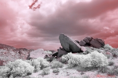 Anza-Borrego Desert, San Diego, California