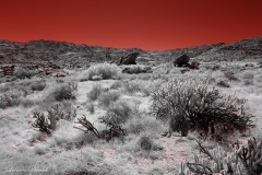 Anza-Borrego Desert, San Diego, California