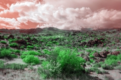 Anza-Borrego Desert, San Diego, California