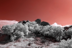 Anza-Borrego Desert, San Diego, California