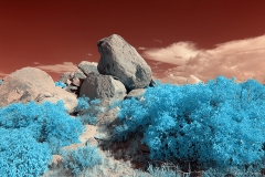 Anza-Borrego Desert, San Diego, California