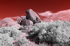 Anza-Borrego Desert, San Diego, California