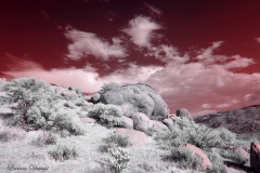 Anza-Borrego Desert, San Diego, California