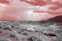 Anza-Borrego Desert, San Diego, California