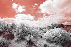 Anza-Borrego Desert, San Diego, California