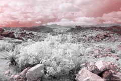 Anza-Borrego Desert, San Diego, California