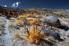 Anza-Borrego Desert, San Diego, California