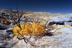 Anza-Borrego Desert, San Diego, California