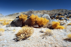 Anza-Borrego Desert, San Diego, California