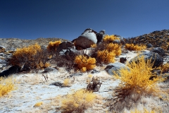 Anza-Borrego Desert, San Diego, California