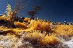 Anza-Borrego Desert, San Diego, California