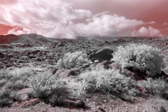 Anza-Borrego Desert, San Diego, California