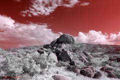 Anza-Borrego Desert, San Diego, California