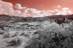 Anza-Borrego Desert, San Diego, California