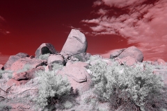 Anza-Borrego Desert, San Diego, California