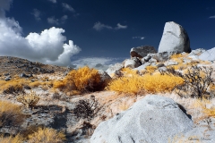 Anza-Borrego Desert, San Diego, California