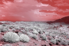 Anza-Borrego Desert, San Diego, California