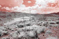 Anza-Borrego Desert, San Diego, California