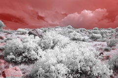 Anza-Borrego Desert, San Diego, California