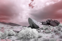 Anza-Borrego Desert, San Diego, California