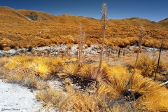 Anza-Borrego Desert, San Diego, California