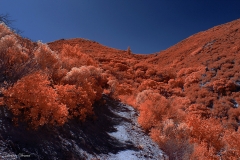 Anza-Borrego Desert, San Diego, California