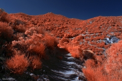 Anza-Borrego Desert, San Diego, California