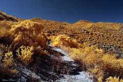 Anza-Borrego Desert, San Diego, California