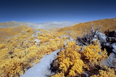 Anza-Borrego Desert, San Diego, California