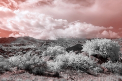 Anza-Borrego Desert, San Diego, California