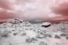 Anza-Borrego Desert, San Diego, California