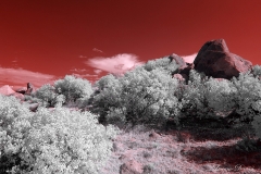 Anza-Borrego Desert, San Diego, California