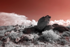 Anza-Borrego Desert, San Diego, California