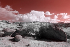 Anza-Borrego Desert, San Diego, California