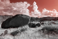 Anza-Borrego Desert, San Diego, California