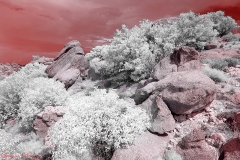 Anza-Borrego Desert, San Diego, California