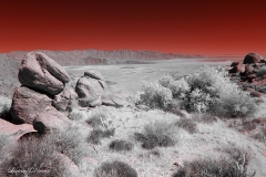 Anza-Borrego Desert, San Diego, California