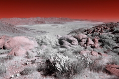 Anza-Borrego Desert, San Diego, California