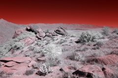 Anza-Borrego Desert, San Diego, California