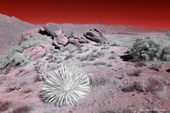 Anza-Borrego Desert, San Diego, California