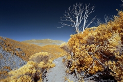 Anza-Borrego Desert, San Diego, California