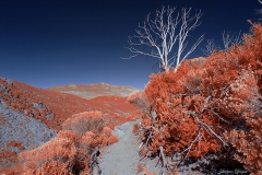 Anza-Borrego Desert, San Diego, California