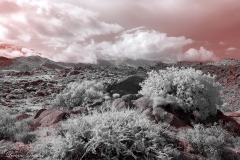 Anza-Borrego Desert, San Diego, California