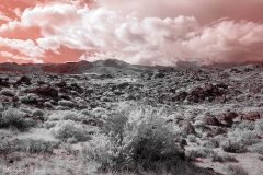 Anza-Borrego Desert, San Diego, California